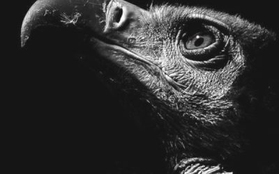 Minicuentos autores universales 10